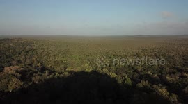 Aerial View: The Maya Biosphere Reserve