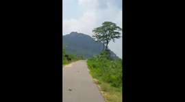Wild life of srilanka