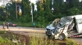 Two killed and nine injured in Thai province after minibus crashes into wild elephant