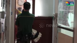 Great Hornbill saved after surgeons rebuild beak made in 3D printer