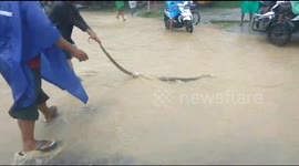 Indonesian locals rescue 3-metre-long SNAKE during heavy flooding