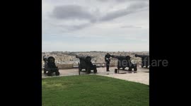 What are the odds?! Pigeon gets shot by cannon
