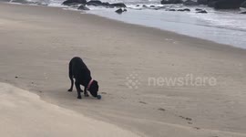 When your friend is boring so you entertain yourself