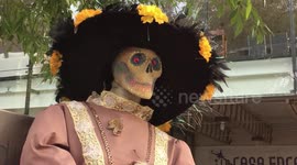 Day of The Dead