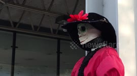 Catrina