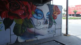 Catrina Graffiti