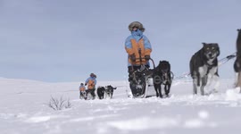 Amateurs drive dog-sleds 300km across arctic wilderness - Fjällräven Polar 2018