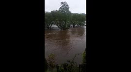 River Teifi in flood near Lampeter