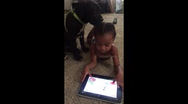 Attentive puppy licks girl's hair 'clean' while she plays on tablet