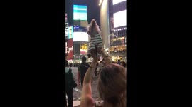 Cute Yorkie takes Shibuya's famous Hachiko crossing, 'Lion King'-style