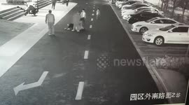 Woman shoos unleashed dog to protect children, gets beaten up by its owner