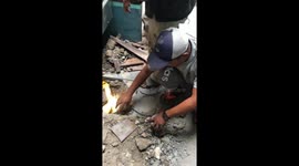 Hilarious conversation between Aussie and Balinese plumber using their own ''language of noises''
