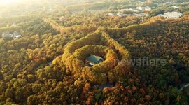 This drone footage of fall foliage enveloping Nanjing's Meiling Palace is beautiful