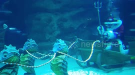 Santa Claus Underwater with skate fish and shark