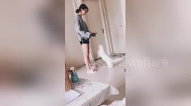 Cute kitten jumps up into owner's arms for a hug