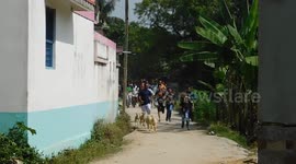 indian traditional village festival -durga puja and animal scarify