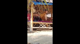 Man getting painful Thai massage