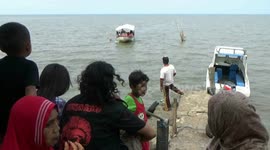 Whale shark tourism in Bentar Probolinggo beach tourism