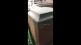 Selly Oak, May 2018 - Bournbrook stream becomes huge fast-flowing river!