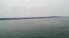 Whale Leaps Out of the Water Near Boat