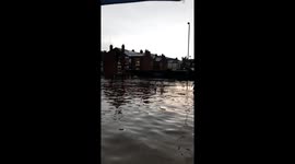 Selly oak