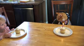 Girls Sing Happy Birthday to their Cat