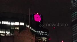 Giant Poppy In London