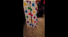 Best Birthday Present Ever