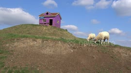 Goats and their House