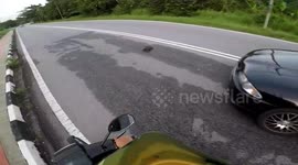 Good Samaritan moped rider halts to save tortoise crossing the road
