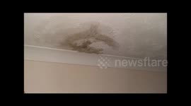 My tenants trashed my house worse than you can imagine