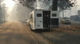 Vegetation fire Paradise Ca Camp fire horse rescue