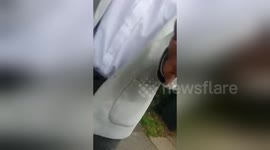 Newsflare Edit - CUSTOMER ASSAULTS NEIGHBOUR