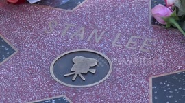 Memorial flowers placed on Marvel Comics legend Stan Lee's Hollywood Walk of Fame star