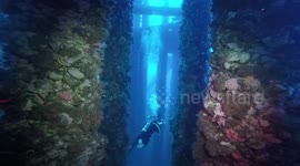 Ethereal scene for divers swimming beneath a California oil platform
