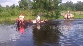 Frightening moment horse fall on woman in pond