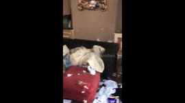 Nightmare tenants