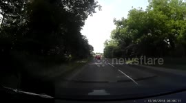 Road rage with happy ending.
