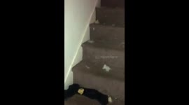 Nightmare tenants part 2 upstairs of property