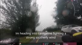 Extreme road rage