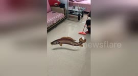 Chinese sand artist makes mind-bending 3D perspective art