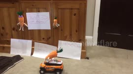 9 Year Old remakes Aldi advert #SaveKevin.