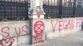 Vegan vandals graffiti Parliament before Brexit draft discussion