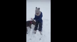 Little girl tries to make a snow angel but gets attacked by vicious pitbull