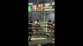 Thai kickboxing - vicious kick knockout