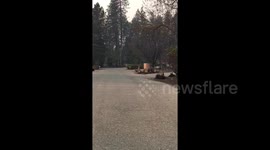 Footage shows houses leveled in aftermath of devastating Camp Fire
