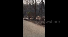 Footage shows houses leveled in aftermath of devastating Camp Fire