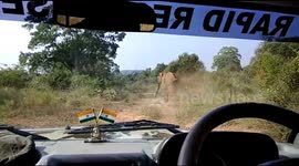 Angry elephant charges forest officials inside jeep