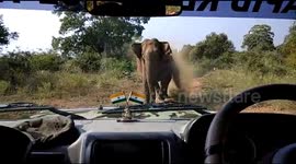 Angry elephant charges forest officials in jeep