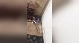 Newsflare Edit - Nightmare neighbour Claire waters